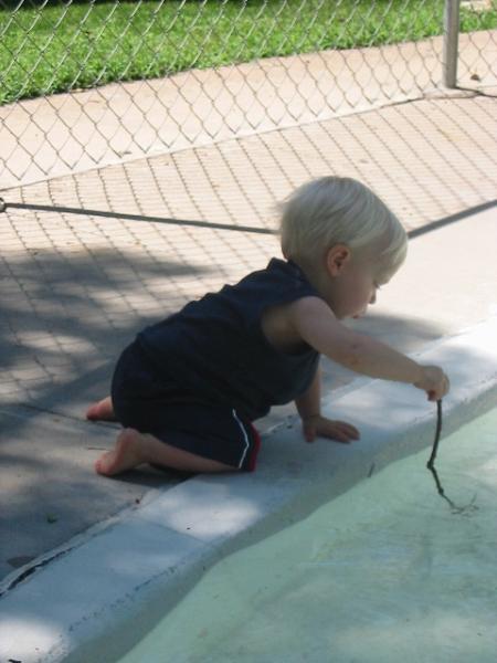 He is more shy of the pool than when he was younger.