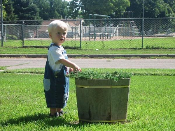 So green for the end of August!